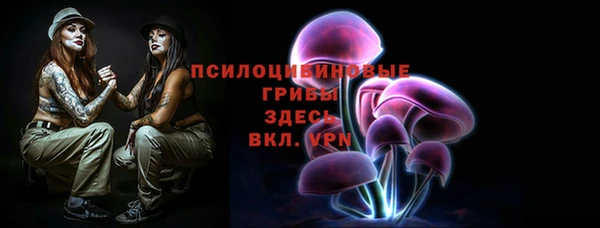 спайс Алексеевка