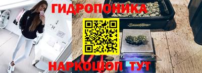 дмт Ирбит