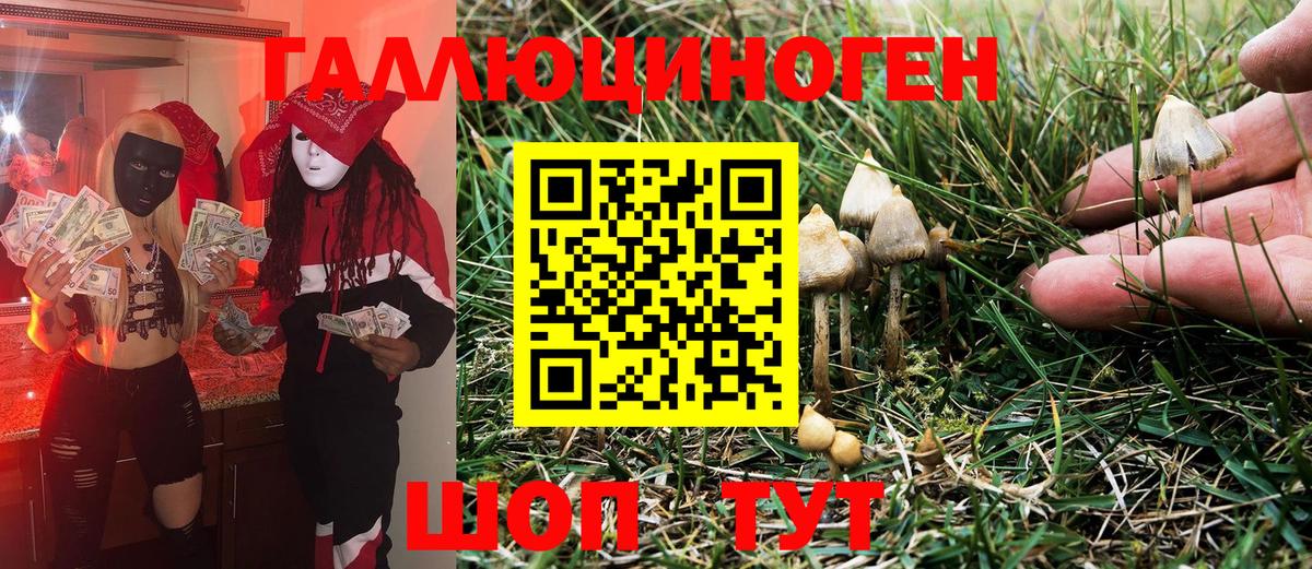 Галлюциногенные грибы MAGIC MUSHROOMS Миллерово